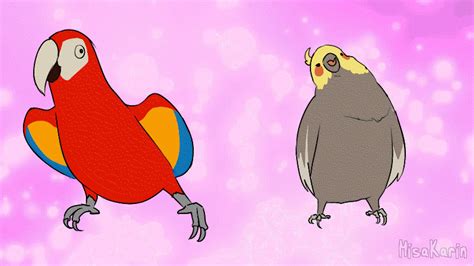 Wholesome parrots dancing | meme (LINK IN DESC) by MisaKarin on DeviantArt