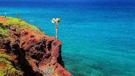 Prickly pear cacti on a cliff of Rabida Island in Galapagos National ...