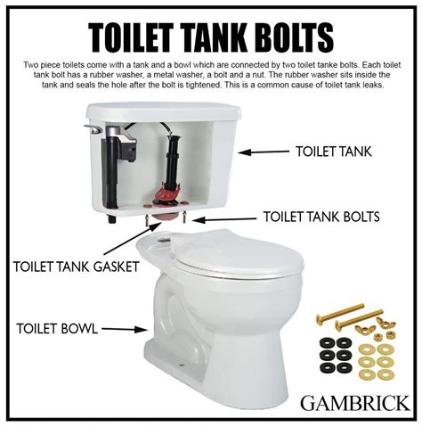 How To Fix A Toilet Leaking From Tank Bolts – Modern Design