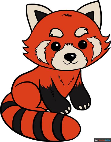 How to Draw a Red Panda - Really Easy Drawing Tutorial