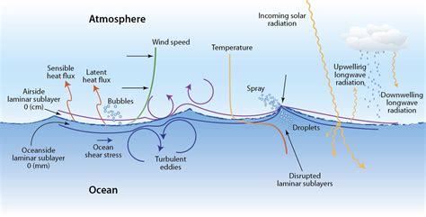 What causes ocean waves? - Woods Hole Oceanographic Institution