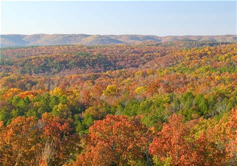 Blue Ridge Mountain Home: Fall Foliage