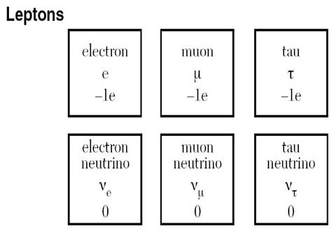 Difference between Leptons and Hadrons