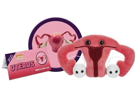 GIANTmicrobes Uterus Plush - Adorable Educational Gift, Detachable Eggs ...