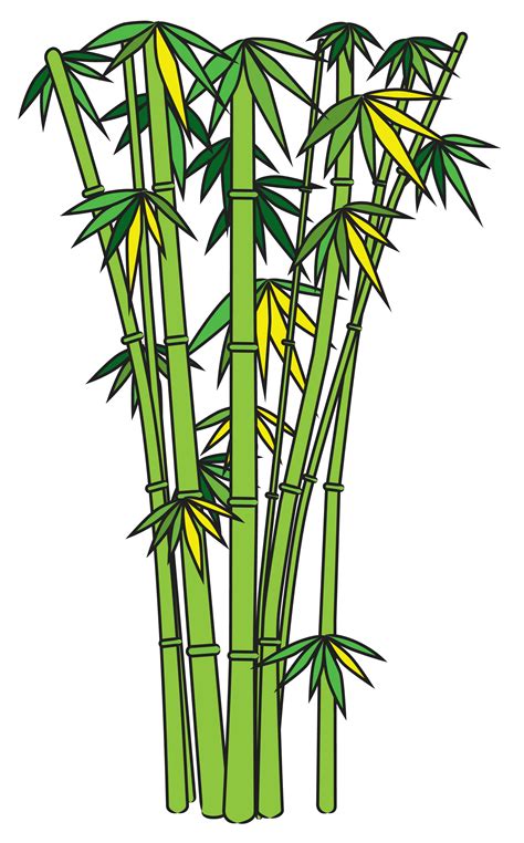 Bamboo Tree Clipart