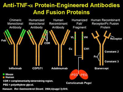 Nephrology World: TNF alpha inhibitors and the Kidney