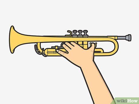 How to Hold a Trumpet (with Pictures) - wikiHow