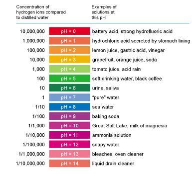 ph scale diagram - Google Search | High school science, Middle school science classroom, Chemistry