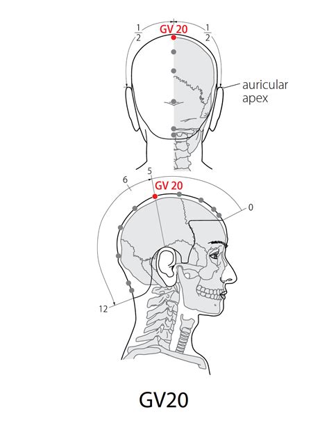 Acupuncture Point: Governor Vessel 20 - Acupuncture Technology News