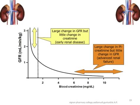 Dose Adjustment in renal and hepatic failure