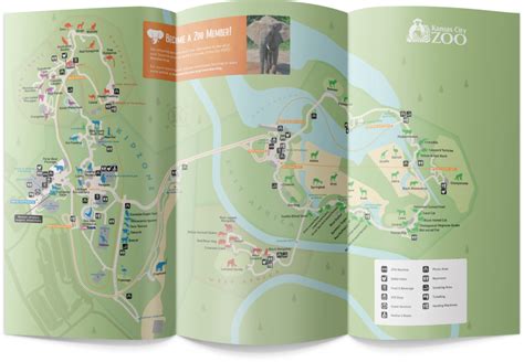 Using Kansas City Web Design To Create A Better Zoo Map - Kansas City Web Design