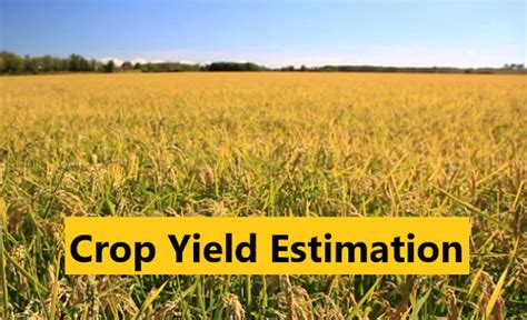 Crop Yield Estimation (Biological yield and economic yield) - Basic Agricultural Study