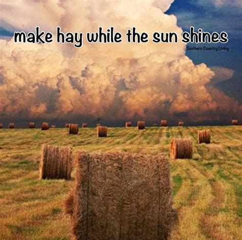 Make hay while the sun shines | Southern Speak | Pinterest