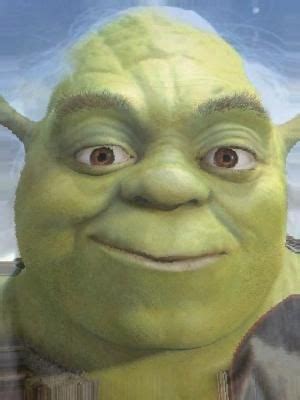 Shrek, Stupid funny memes, Shrek memes