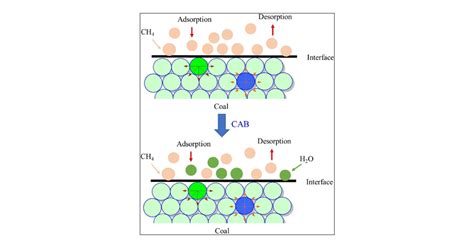 Experimental Study on Coal Structure Variation and CH4 Adsorption ...