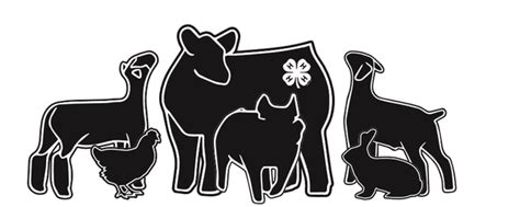 4h livestock clipart 10 free Cliparts | Download images on Clipground 2024