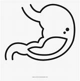 Tummy Coloring Pages sketch template