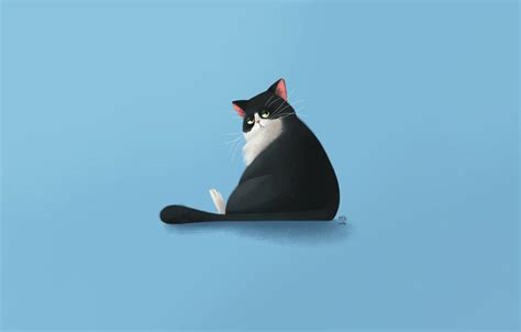 Aesthetic Cats Computer Wallpapers - Top Free Aesthetic Cats Computer Backgrounds - WallpaperAccess