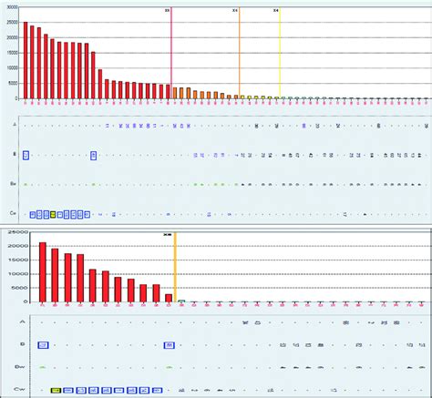 Top panel shows anti-HLA-C antibodies to C1, 7, 8, 9, 10, 12, 14, and... | Download Scientific ...