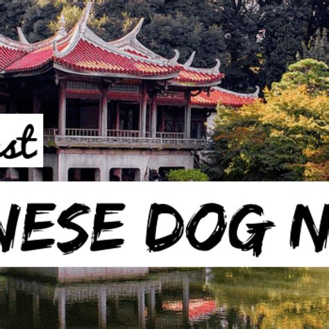 150+ Amazing Anime Dog Names