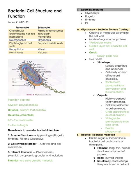 SOLUTION: Med 182 Bacterial Cell Structure and Function Study Guide ...