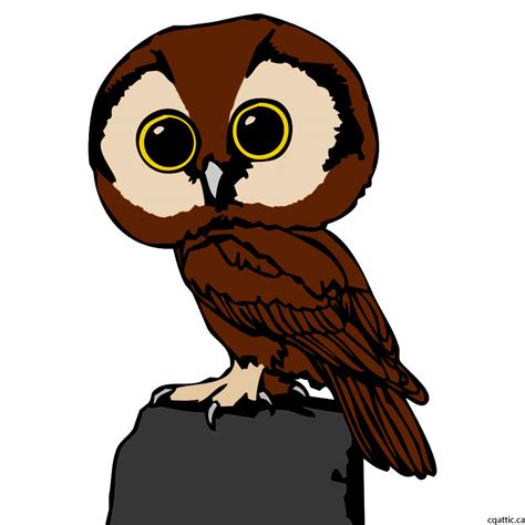 Owl Cartoon Drawing in 4 Steps With Photoshop