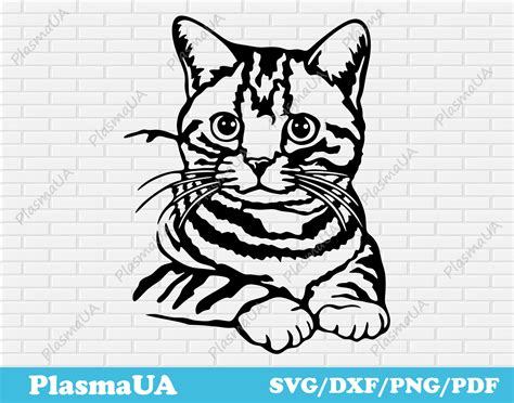 Cat Svg Download Cat Svg Cut Files for Cricut Pet Svg Image - Etsy Canada