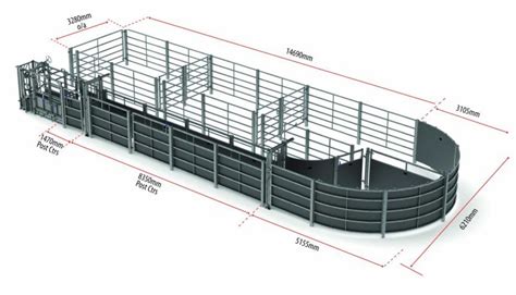 right hand forcing pen straight with measurements Cattle Barn, Cattle ...