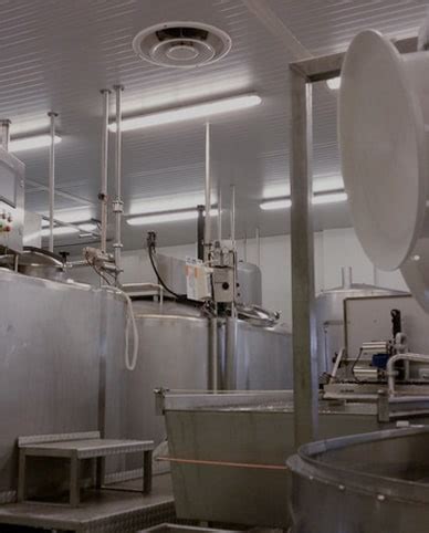 Industrial cheese making equipment - Scherjon Dairy Equipment