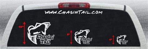 Chasin' Tail Fish Vinyl Decal