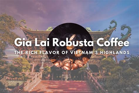 Gia Lai Robusta Coffee – The Rich Flavor of Vietnam's Highlands ...