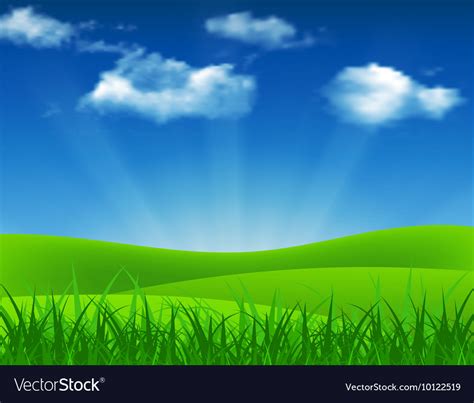 Nature summer background with green grass Vector Image