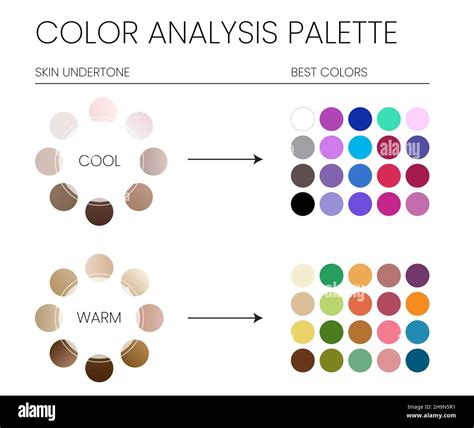 Color Analysis Palette by Cool and Warm Skin Undertones and the Best ...