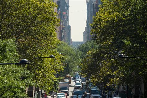 Urban Forests | Climate Change Response Framework