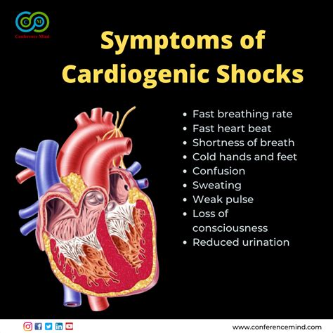 Symptoms of Cardiogenic Shocks • Fast breathing rate • Fast heart beat ...