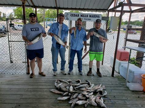 Lake Texoma Striped Bass | Fishing For Striped Bass On Lake Texoma