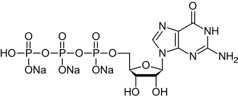 Guanosine 5'-triphosphate [GTP] trisodium salt, signal transducing G proteins activator (CAS ...