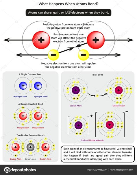 What Happens Atoms Bond Infographic Diagram Showing How Electrons ...