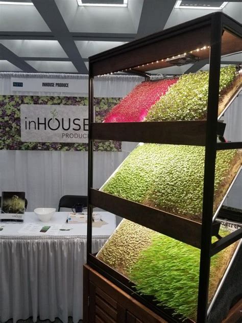 Pin by Mary McHugh on Gardening How To | Indoor farming, Hydroponics, Microgreens garden