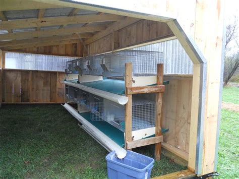 meat rabbit cage set up to harvest droppings - Google Search | Rabbit ...