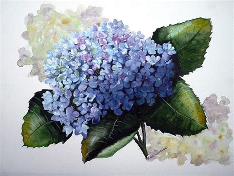 Blue Hydrangea Painting by Karin Best - Blue Hydrangea Fine Art Prints and Posters for Sale ...