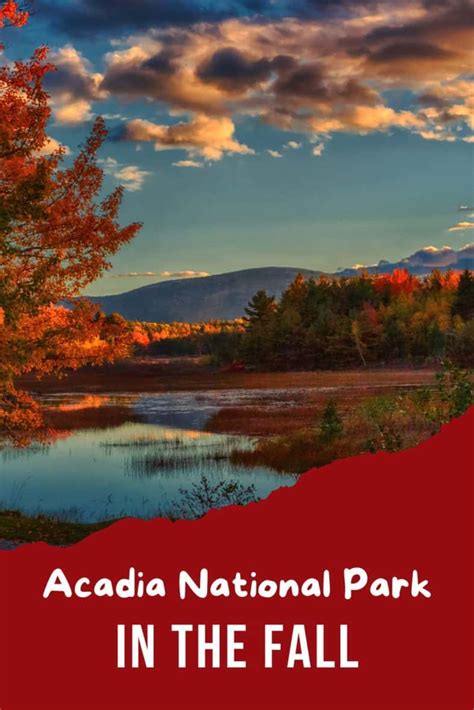 How To See Fall Colors In Acadia National Park 2024 Guide