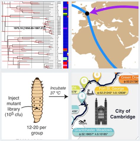 Pathogen Genomics and Evolution Group