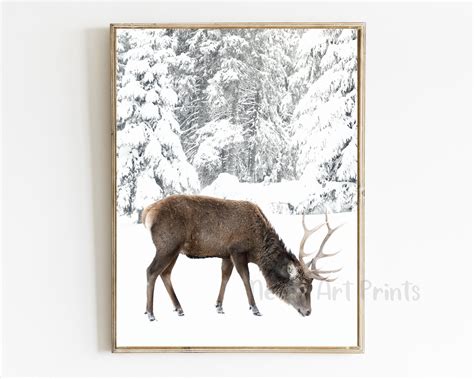 Reindeer in Snowy Forest Set of 3 Printable Wall Art Winter - Etsy