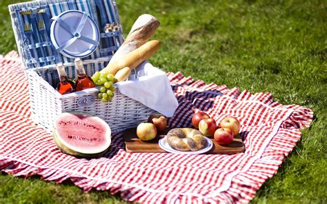 Perfect Picnic Ideas for Summer