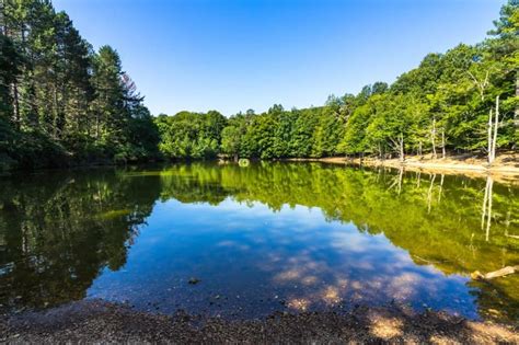 Foresta Umbra: ecco cosa vedere - Se viaggiassi