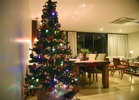 Christmas Traditions in Brazil Explained | Tripster Panda