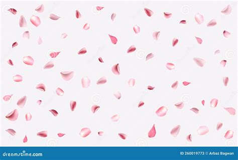 Rose Petals Falling Down Background Stock Vector - Illustration of beautiful, japanese: 260019773