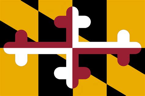 Is this any better than the Maryland flag? : r/HelloInternet