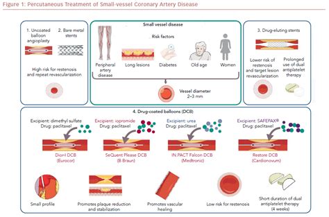 Role of Drug-coated Balloons in Small-vessel Coronary Artery Disease | USC Journal